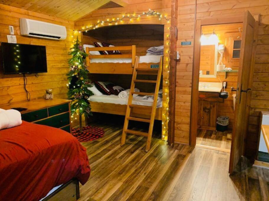 Honeybear Hideaway Cabin Хейвард Экстерьер фото
