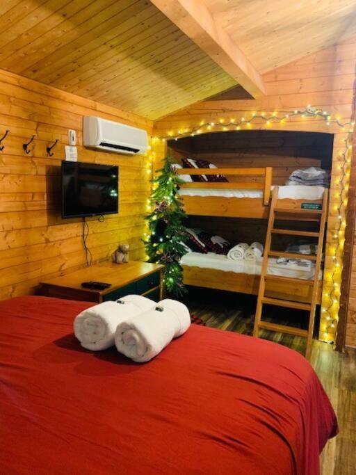 Honeybear Hideaway Cabin Хейвард Экстерьер фото