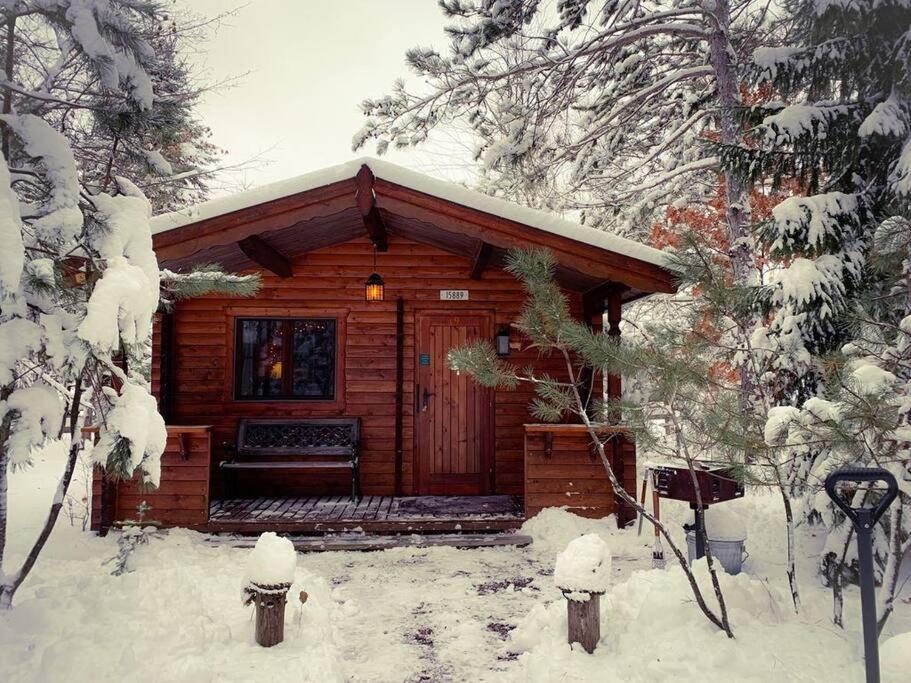Honeybear Hideaway Cabin Хейвард Экстерьер фото
