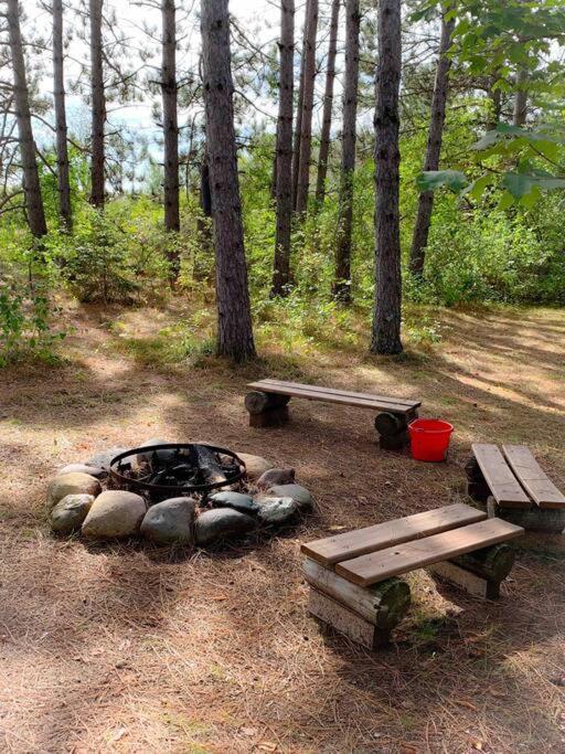 Honeybear Hideaway Cabin Хейвард Экстерьер фото