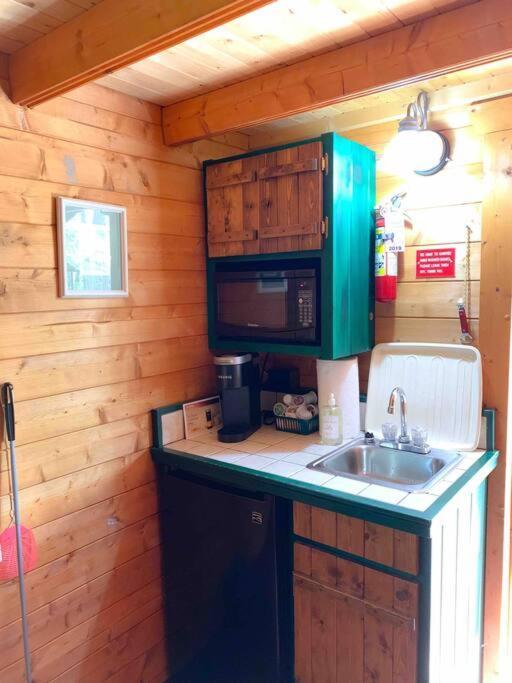 Honeybear Hideaway Cabin Хейвард Экстерьер фото