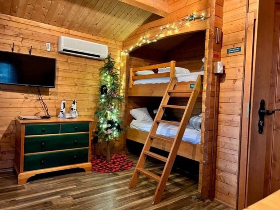 Honeybear Hideaway Cabin Хейвард Экстерьер фото
